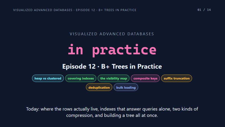 Title card of Episode 12: B+ Trees in Practice